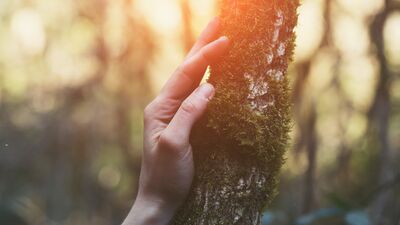 Her rüzgarda savrulmayın!