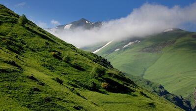 Bayram tatili önerisi: Yaylalar…