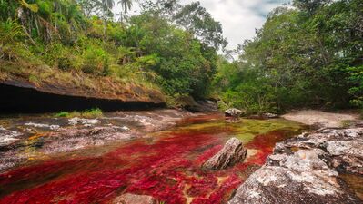 Hiç rengârenk nehir gördünüz mü?