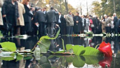 Çingene palamudunu ne yapsak?