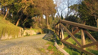 İstanbul parkları...