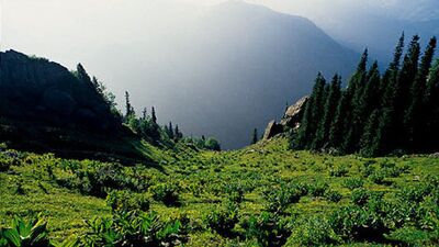 Kazdağları: Derin bir nefes alın!