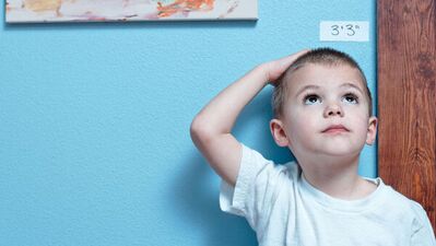 Boyunuz sabah uzun akşam kısa!