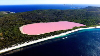 Doğanın mucizesi: Pembe göl…