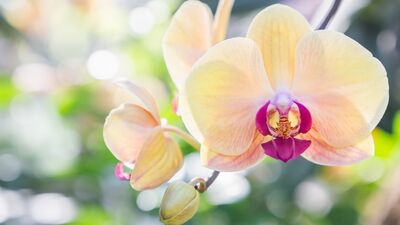 Vajinal kuruluk ile ilgili bilmeniz gerekenler