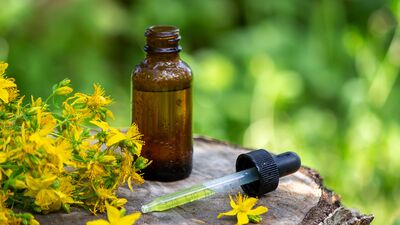 Şifa kaynağı: Kantaron yağı