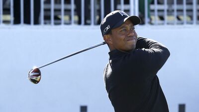 Tiger, 7 bin dolarlık villada...