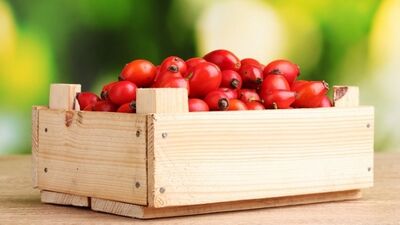 Vücudun üretemediği vitamin: C vitamini…