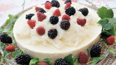 Pişmaniyeli dondurmalı cheesecake