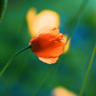 Mutlu olmak için neler yapmalıyız?