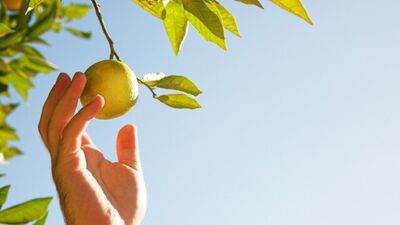 Ellerinizdeki lekeleri limonla temizleyin