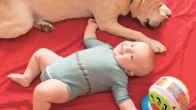 Teknoloji korkunuzu bu ürünler yenecek