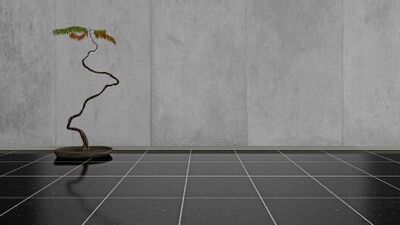 Feng Shui ve ofisler