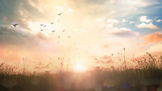 Güzel bir gün için yapmanız gerekenler