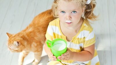 Keçi sütü inek sütüne karşı