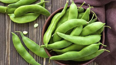 Fasulye kanserin yayılmasını önlüyor