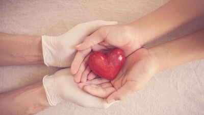 Organ bağışı rehberi!