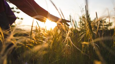 Gününüzün iyi olacağına inanın!