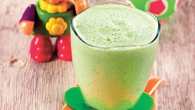 Miskin kedi (12. aydan sonra)