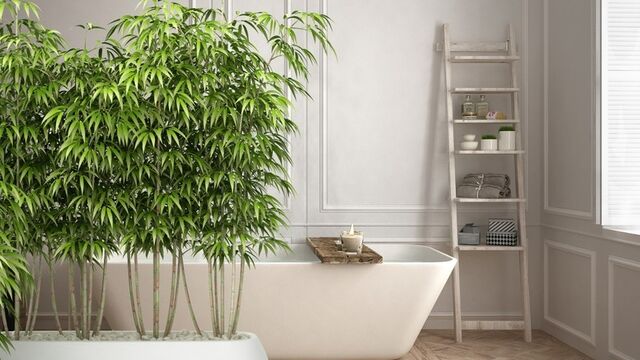 Feng Shui&#039;ye göre banyo düzenlemesi nasıl yapılır?