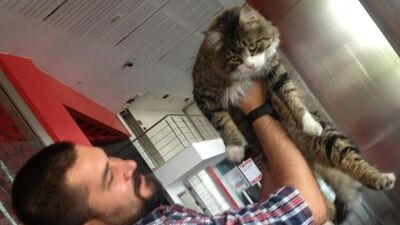 Şero'nun tweet'leri...