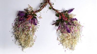 Çiçekler organ açtı…