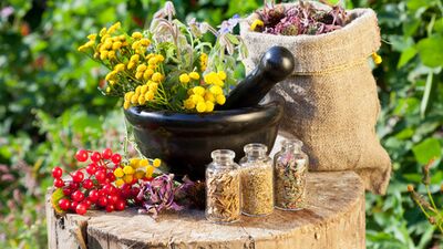 Ameliyat öncesi bu bitkilerden uzak durun