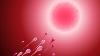 Gebelikten korunma yöntemleri