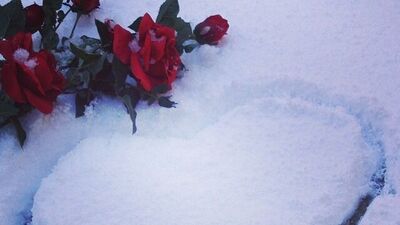 Instagram'dan kar manzaraları...