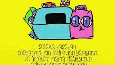 Kedi evi yapım atölyesi