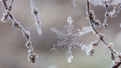 Kar tanelerinin en güzel halleri