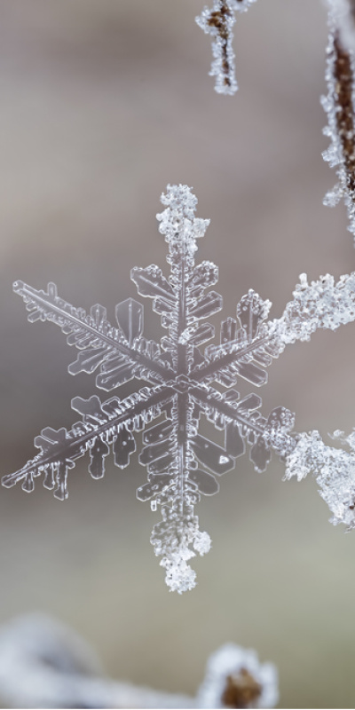 Kar tanelerinin en güzel halleri