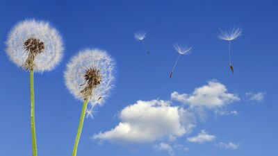 Duygusal yüklerinizi bir kenara bırakmanın yolları