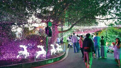 Evini 500 bin ampül ile süsledi