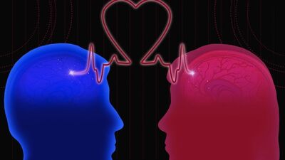 Kadın ve erkek beyninin farklı olmadığı açıklandı