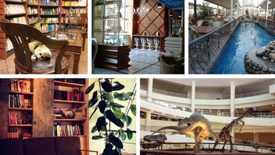 2013'ün en iyi mekânları rehberi