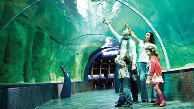 'Akvaryum'dan çocuklara jest