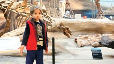 Zürih'te çocukla neler yapılabilir?