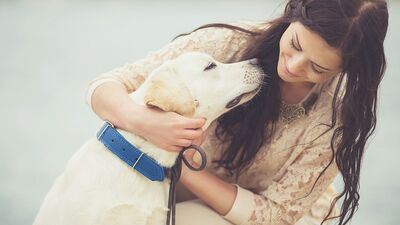 Köpek sahiplenmek için 13 neden