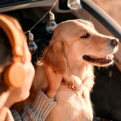 Köpek sahiplenmek için 13 neden