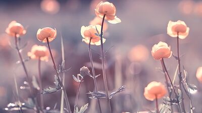 Gününüzü güzelleştirecek cömertlikler