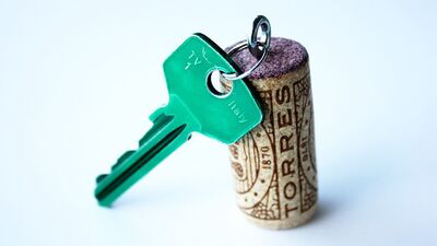 Şarap mantarından anahtarlık!