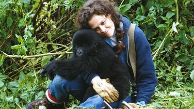 Google'ın Dian Fossey jesti...