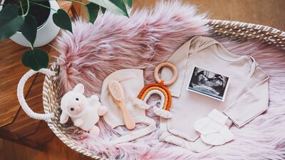 Gebelikte 1. trimester