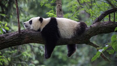 Sağlıklı bir uyku için yapmanız gerekenler...