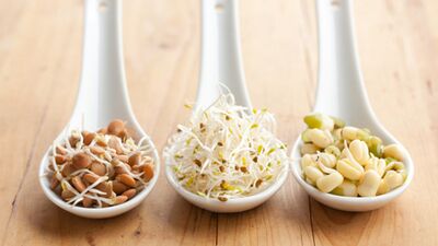 Makrobiyotik Beslenme Temelleri