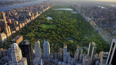 Şehir parkları akıl sağlığını olumlu etkiliyor