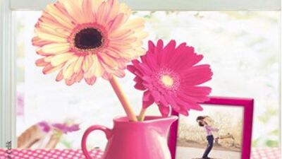 Mutluluk Böyle Bir Şey