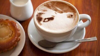 Kahve içmek için 11 neden