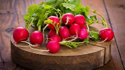 Kırmızı turpun faydaları